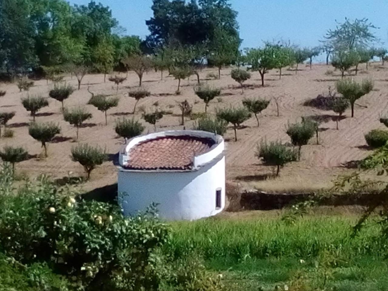 Vila Casa Dos Pombais De Cacarelhos Rural Exteriér fotografie